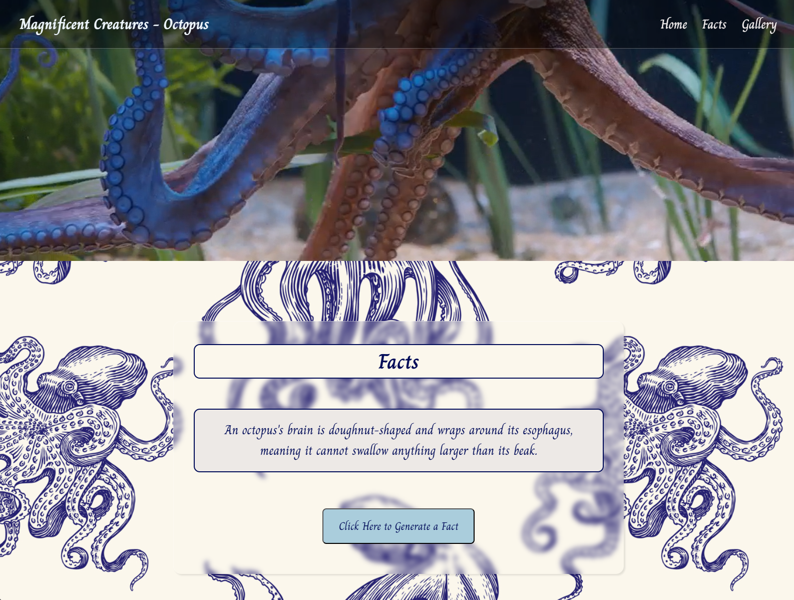 website preview